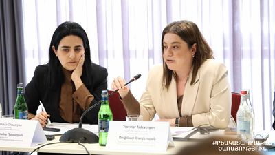 Քրեակատարողական ծառայության պետ Ծովինար Թադևոսյանը մասնակցել է ԵԽ ծրագրերի համակարգող խորհրդի հերթական նիստին
